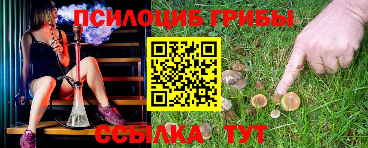 Самара  цена наркотик  Вход с VPN  Псилоцибиновые грибы Magic Shrooms 
